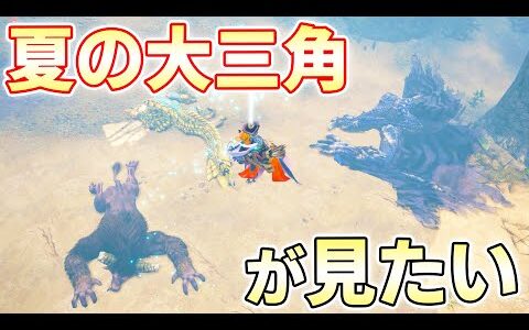 【サンブレイク】モンスターの亡骸で地上に夏の大三角を描きたい【モンハンライズサンブレイク実況】
