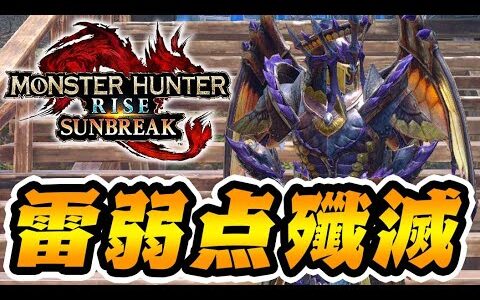 雷弱点モンスを全て滅ぼす装備がエグいダメージ出る件ｗｗｗ【モンハンサンブレイク】