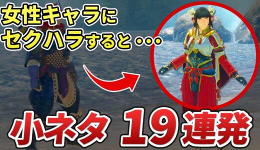 サンブレイク登場キャラたちの小ネタ・隠し要素をまとめてみた