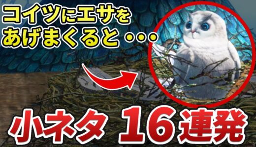 サンブレイクの小ネタ・隠し要素をまとめてみた