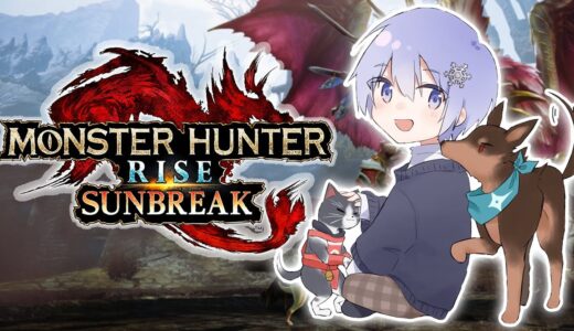 【モンハンサンブレイク】遂に新章突入する。【白雪レイド】