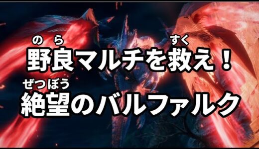 【バルファルク編】野良マルチで未クリアハンターと勝利して喜びを分かち合いたい。【モンスターハンターライズサンブレイク】