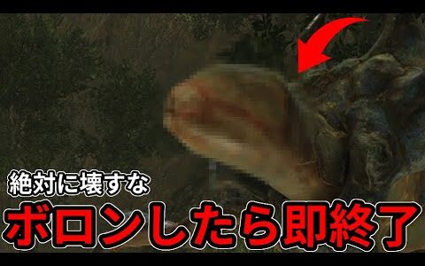 ショウグンキザミのブツがボロン！したら即終了。絶対に壊すなよ？参加型配信。【モンスターハンターライズサンブレイク】