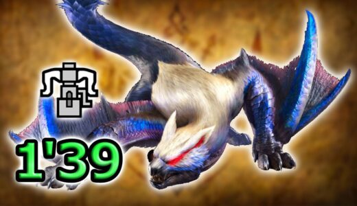 ナルガクルガ希少種をソロ1分台で討伐するヘビィボウガン【サンブレイク】