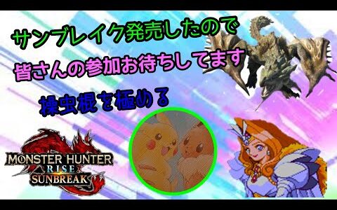 はのんのモンハンライズサンブレイク参加型配信#12