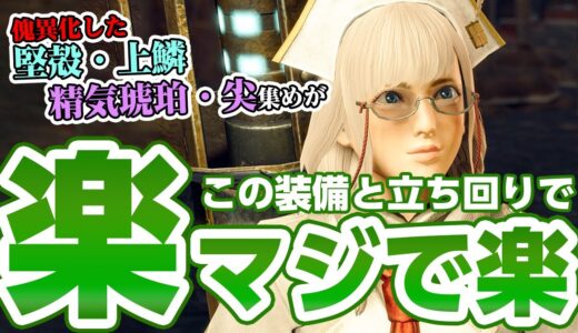 【サンブレイク】誰でも簡単！ソロで楽して精気琥珀・尖、傀異化した堅殻・上鱗を効率的に集める周回装備！Lv100傀異討究攻略方法【モンハンライズ】