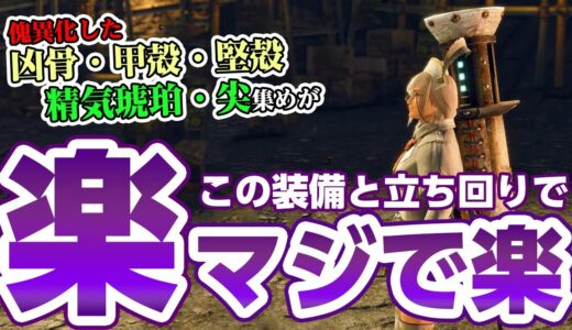 【サンブレイク】誰でも簡単！ソロで楽して精気琥珀・尖、傀異化した凶骨・甲殻・堅殻を効率的に集めるライトボウガン周回装備！Lv100傀異討究攻略方法【モンハンライズ】