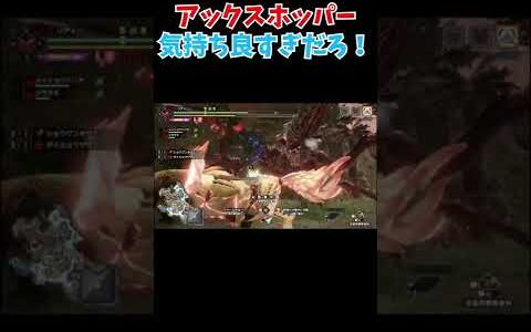 【#MHサンブレイク】アックスホッパー気持ち良すぎだろ！【モンハンライズ サンブレイク #shorts】