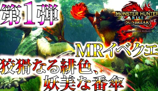 【本日配信】特別報酬付きMRイベクエ第1弾「狡猾なる緋色、妖美な番傘」【双剣ソロ/モンハンサンブレイク/モンスターハンターライズ