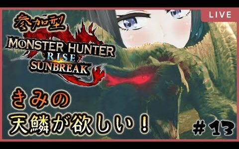 【モンハンライズ/サンブレイク】ナルガ天鱗集め!　参加型【しん/shin】