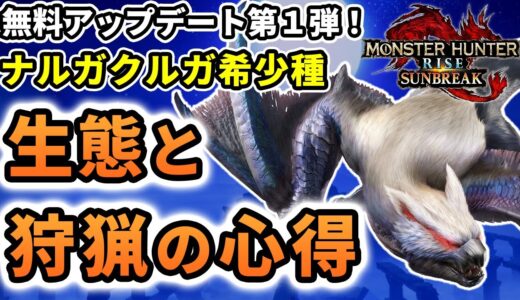 ナルガクルガ希少種徹底解説！アップデート前におさらいしよう【モンスターハンターライズ：サンブレイク】