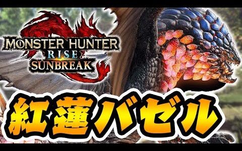 紅蓮滾るバゼルギウスに初見ソロで挑む男【モンハンサンブレイク】