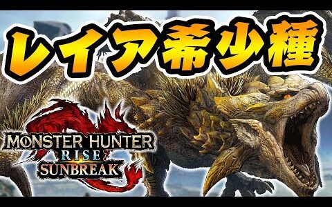 リオレイア希少種に初見ソロで挑む男【モンハンサンブレイク】
