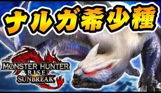 ナルガクルガ希少種に初見ソロで挑む男【モンハンサンブレイク】