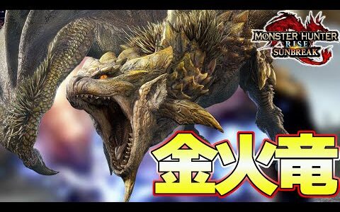 超強力な猛毒！進化した金火竜リオレイア　太刀 ソロ 初見 生放送切り抜き『モンスターハンターライズ：サンブレイク』