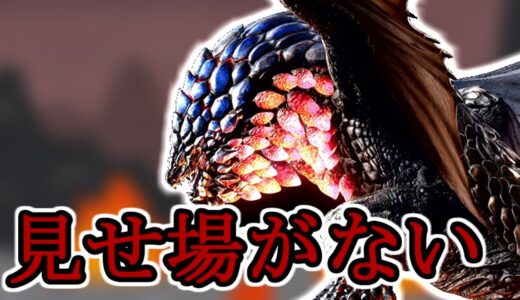 ハンター達、紅蓮滾るバゼルギウスの見せ場を奪ってしまう【モンスターハンターライズ：サンブレイク】【実況プレイ】
