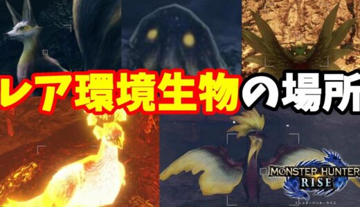 【モンハンライズ】レア環境生物の出現場所と行き方！希少生物【モンスターハンターライズ】