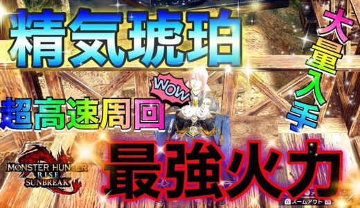 傀異錬成最効率！！精気琥珀各種大量ゲットする方法がマジで誰にでもできるので紹介したい！【モンハンライズ/サンブレイク】