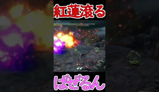 場外に突き落とされる紅蓮滾るバゼルギウス【モンハンライズ】【モンスターハンターライズサンブレイク】【MHRSB】#Shorts