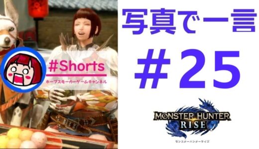【MHRise】写真で一言25 モンスターハンターライズ・ホープスモーカーゲームチャンネル ネタ #shorts