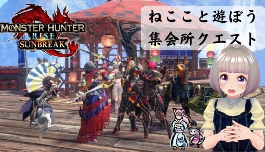 【MHRise_SUNBREAK参加型】モンスターハンターライズ　MR70 HR372