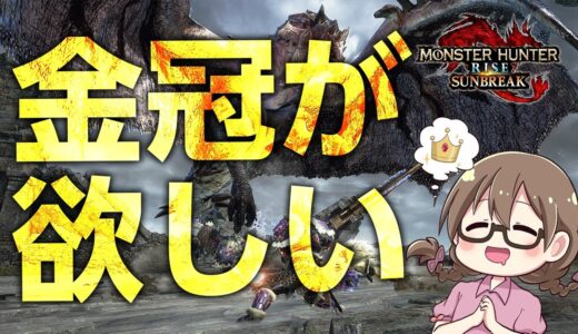 【サンブレイク】金冠＆勲章集めスタート！PS＆MR不問の参加型マルチ会※MOD全種参加NG【STEAM版モンハンライズ】