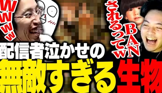 とあるモンスターを見て、ラインぎりぎり発言を連発する配信者たち【モンスターハンターライズ】