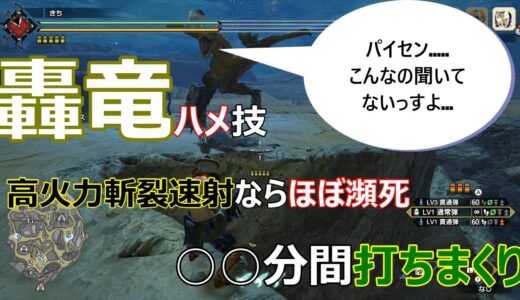 モンハンライズ【ティガレックスハメ技】裏技、小ネタ