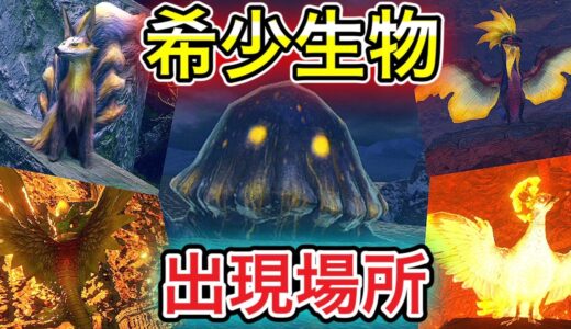 激レア環境生物解説！　出現場所、時間、ルート説明　【モンハンライズ】