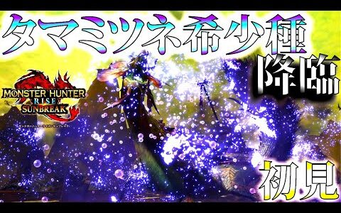 【サンブレイク】初見タマミツネ希少種。魔改造タマミツネ強いｗ【モンハンライズ】