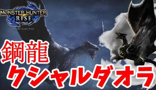 【モンハンライズ】鋼龍クシャルダオラ！嵐に舞う黒い影【モンスターハンターライズ】