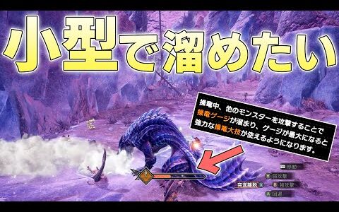小型モンスターだけを殴って操竜ゲージを最大まで溜めることはできるのか【モンハンライズサンブレイク実況】