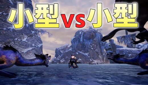 小型モンスターの攻撃だけで小型モンスター10匹を討伐したい【モンハンライズサンブレイク実況】