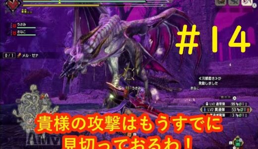 #14 モンスターハンターライズ:サンブレイク