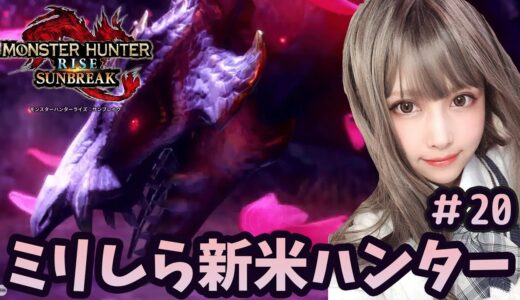 【 モンハンライズ : サンブレイク】メルゼナと操虫棍　#20【初見プレイ】