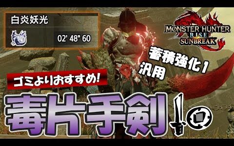 ミツネ希少種2分台！！ゴミミゴミよりもオススメな汎用毒片手剣装備【MHR:S】【片手剣】