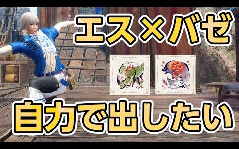 【サンブレイク】傀異討究エスピナス×紅蓮バゼルギウス30分を自力で生成したい【STEAM版モンハンライズ】