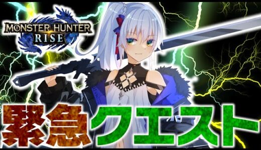 【モンハンライズ】 HR上げつつ色々準備！ 【ゲーム配信】