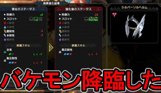 【MHRiseSB】クエストをレベリングしてたらバケモンが降臨しました【モンハンライズ サンブレイク】