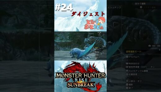 【Monster Hunter SunBreak】写真家ハンターの奮闘記　【モンハン】【モンスターハンターライズ】【サンブレイク】【となおとCh】#Shorts