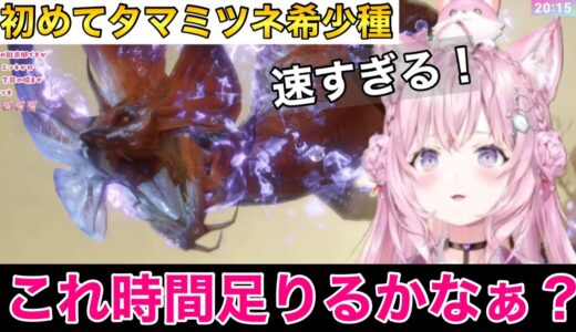 【モンハン】タマミツネ希少の動きに翻弄される博衣こより【ホロライブ　モンハンライズ　サンブレイク】