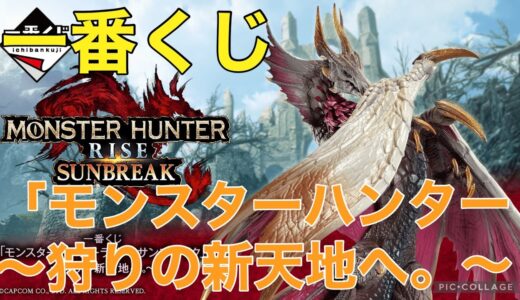 「モンスターハンターライズ：サンブレイク」 ～狩りの新天地へ。～を引いてきました！