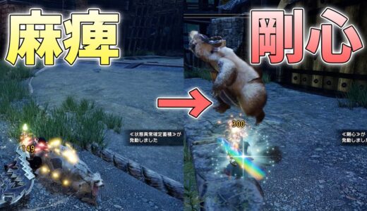 麻痺による無限ブンブジナ体力と剛心の爆発だけでモンスターを討伐したい【モンハンライズサンブレイク実況】