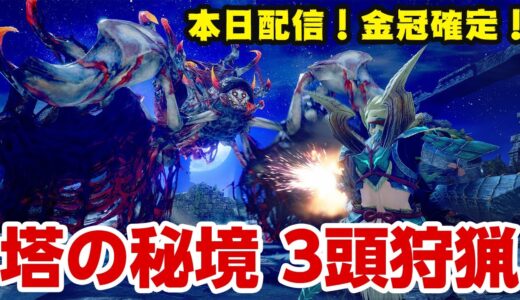 【サンブレイク】金冠確定！塔の秘境！最新イベントクエスト「大いなる夜宴」を汎用的な貫通ライトボウガンでソロ攻略【モンハンライズ】