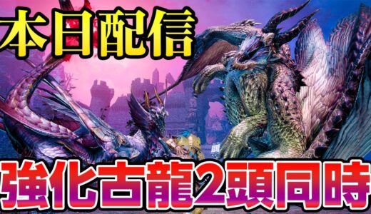 【サンブレイク】高難度！最新イベントクエストは災いの元凶である古龍2頭同時討伐「凶双襲来：紅の回帰」初見プレイ ソロ弓【モンハンライズ】