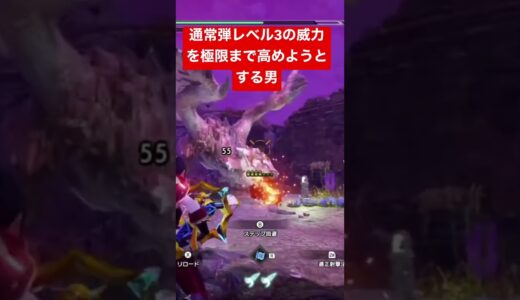 【モンスターハンターライズ】通常弾レベル3こそ最強のダメージソース【ライトボウガン】