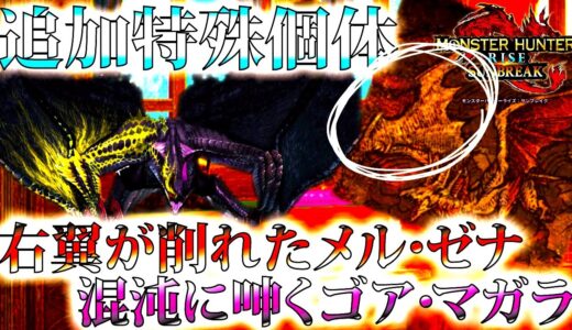 【サンブレイク】次の第3弾大型アプデ追加特殊個体のリスナー予想が熱過ぎる!!絵巻物の右翼が削れたメルゼナ、ゴアマガラの特殊個体の混沌など【コメ返/モンハンライズ】