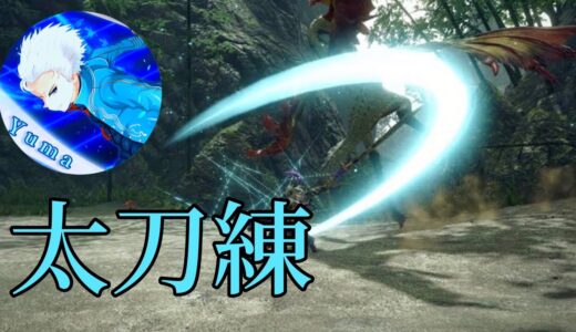 【MHRSB:Switch】太刀練 w/よく喋る人【モンハンライズサンブレイク】