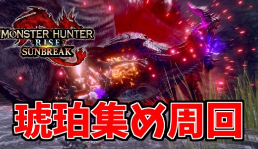 【参加型】琥珀カンストを目指してナスバゼ・ナスフロ周回生活！【MHR:SB/モンスターハンターライズサンブレイクswitch】
