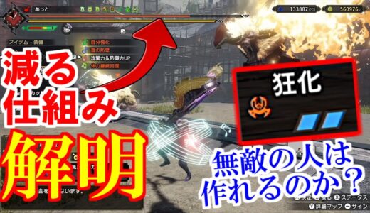 スキル『狂化』ダメージの仕組み検証　無敵の人は作れるのか？回復量UP・超回復・継続回復・回復速度・鋼殻の恩恵重複　モンハンライズMHRise